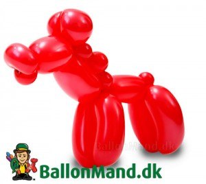 ballon-hest